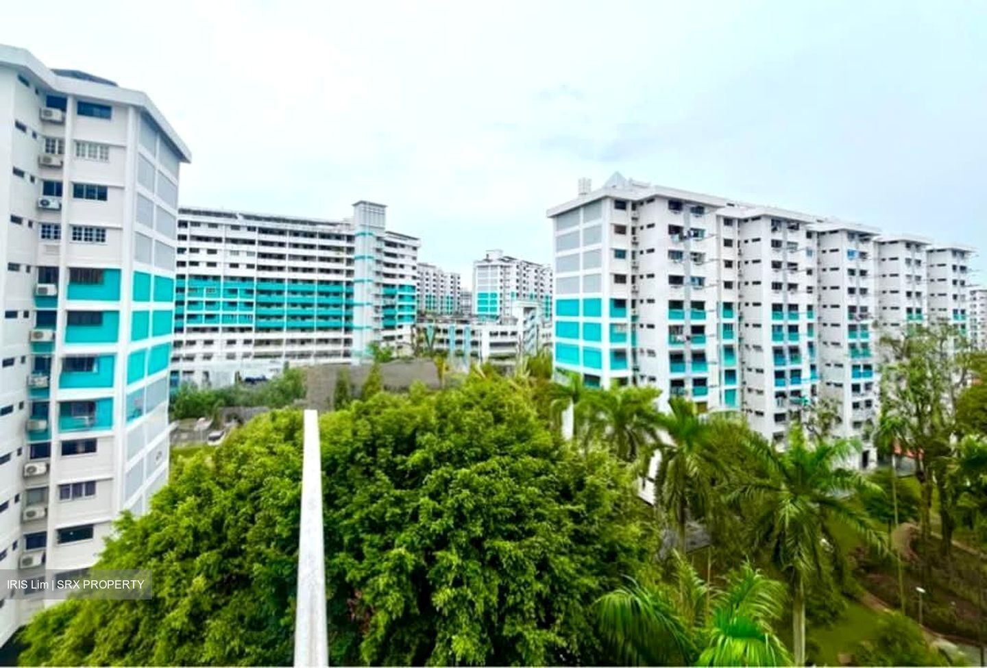 Blk 24 Marsiling Green (Woodlands), HDB 4 Rooms #532383181